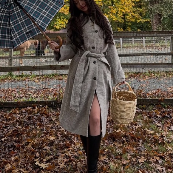 Everlane Herringbone Tan Coat - Picture 2 of 6